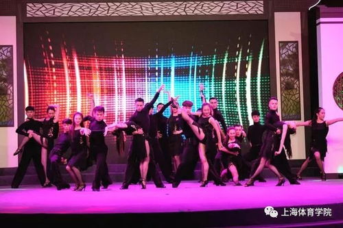 SUS新闻 展示专业技能 积极服务社会 上体舞蹈专场展演在南翔镇文化中心上演